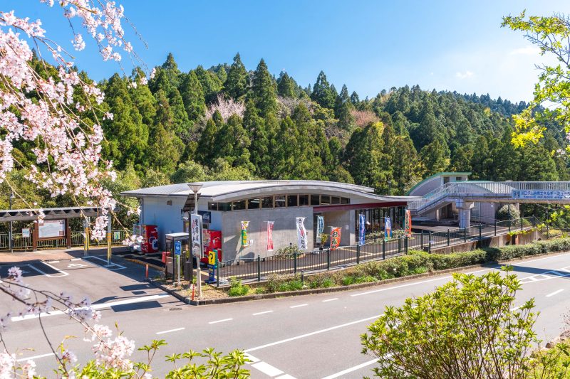 Michi-no-Eki: Warum Japans Straßenstationen das heimliche Highlight jedes Roadtrips sind