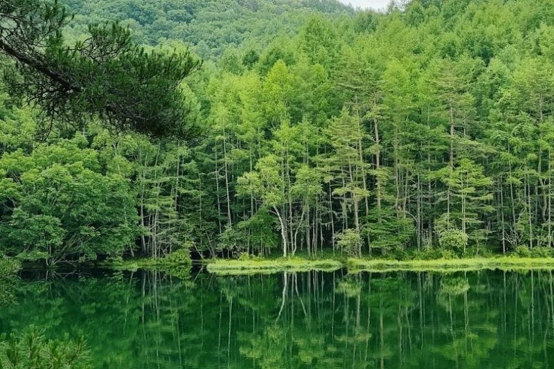 Misyakaike-Teich in Nagano