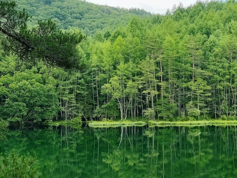 Misyakaike-Teich in Nagano