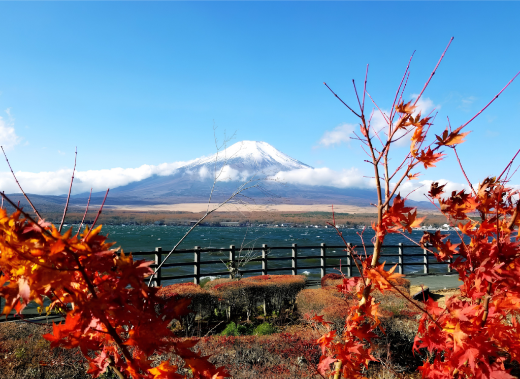 Nagaike Shinsui Park yamanako see fuji