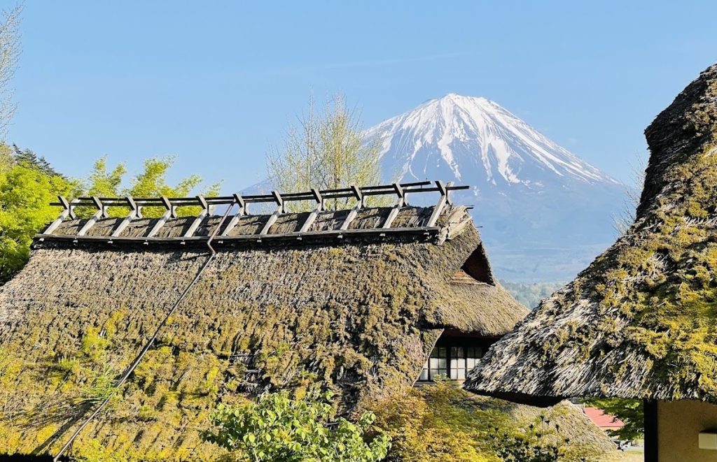 Blick auf den Fuji von Saiko Iyashi no Sato Nenba